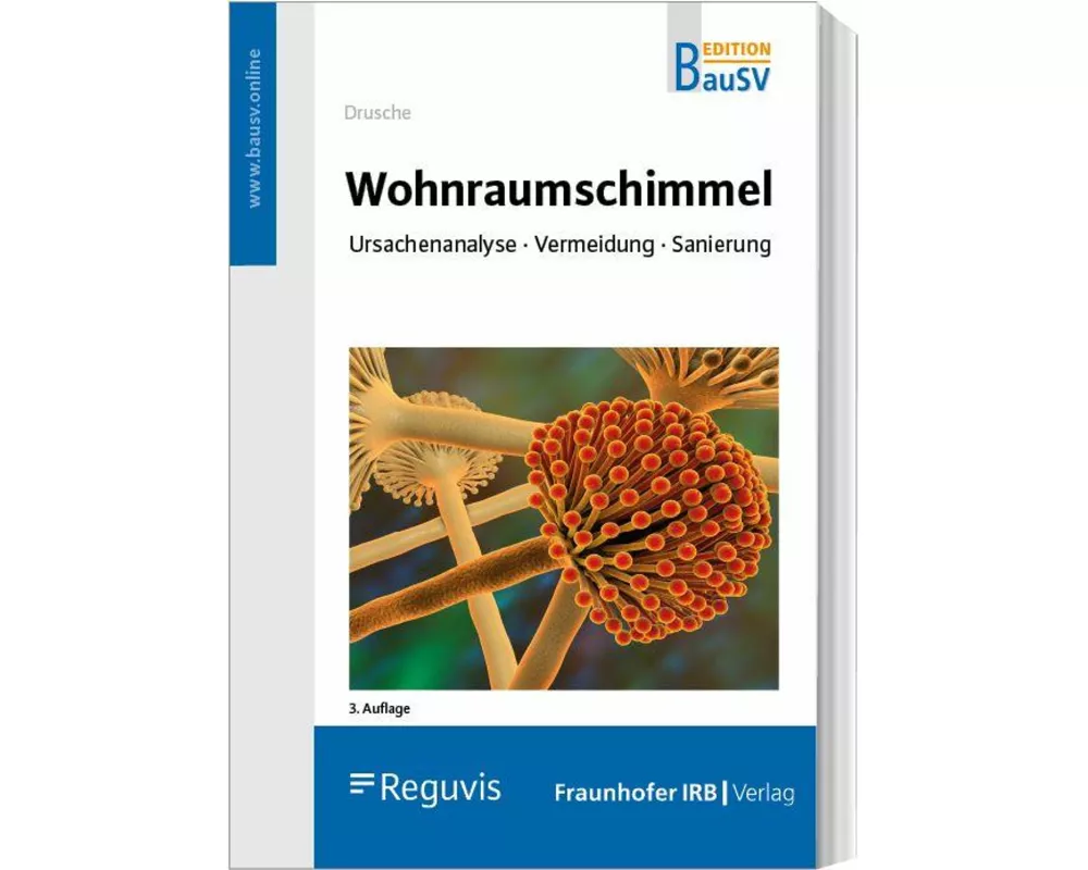 Wohnraumschimmel