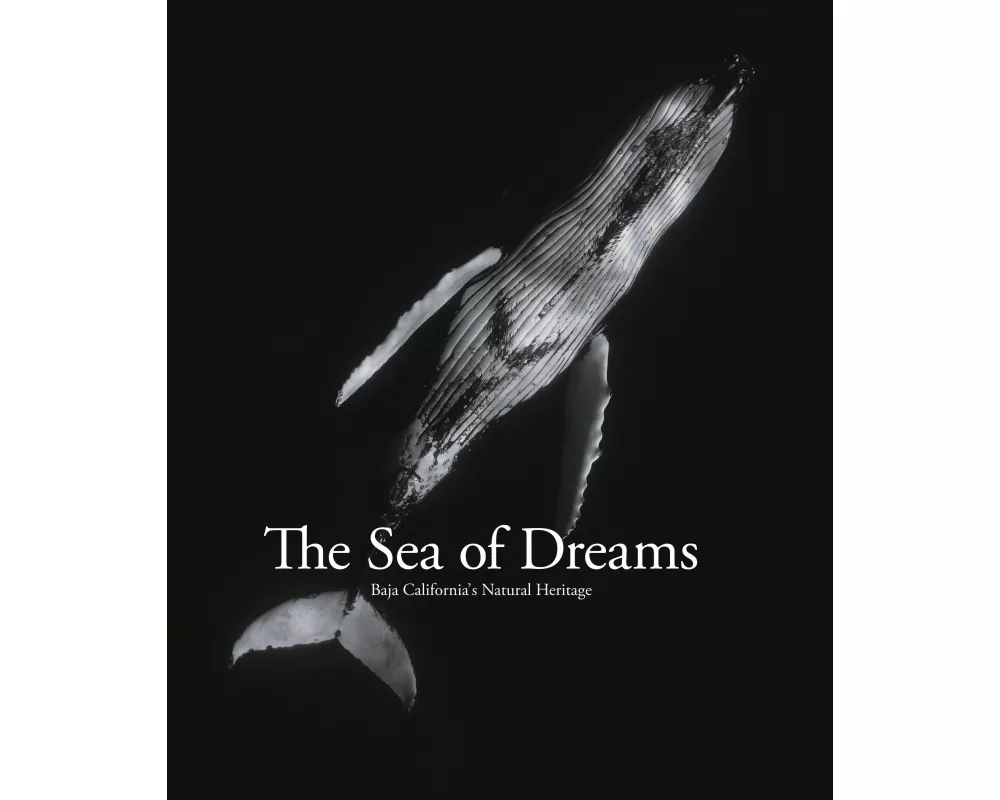 The Sea of Dreams