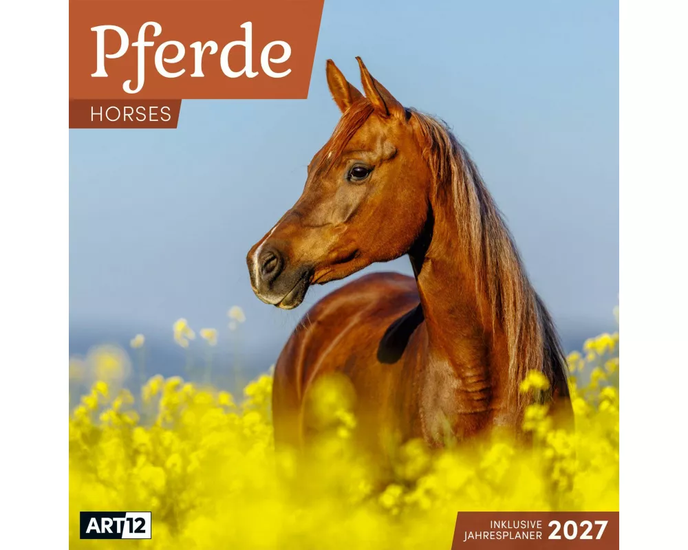 Pferde Kalender 2027 - 30x30 - Art12