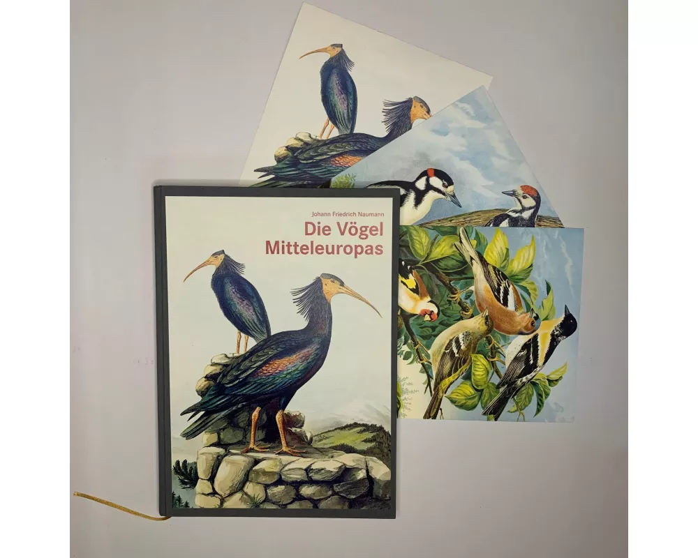 Die Vögel Mitteleuropas (Luxusausgabe im Großformat)