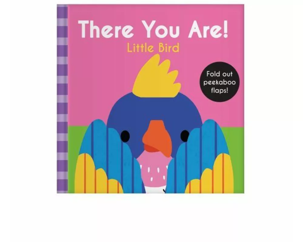 There You Are: Little Bird