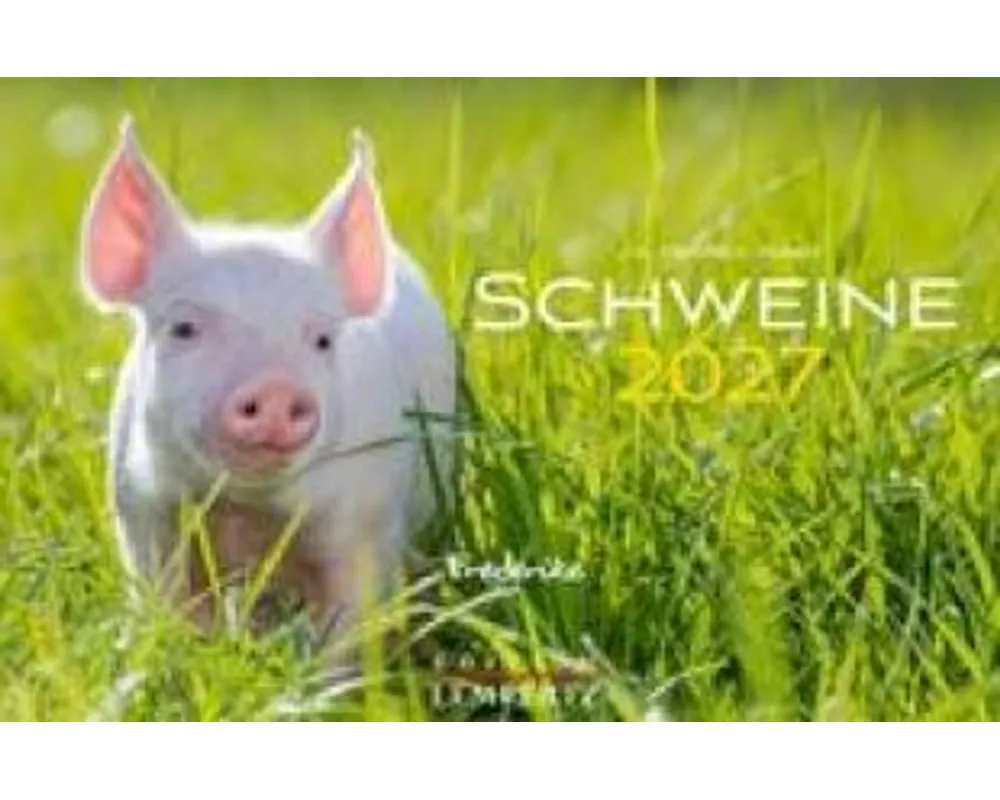 Schweine Kalender 2027