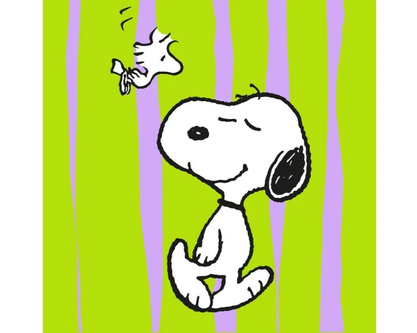 Braun + Company Snoopy Grün 20 Stück