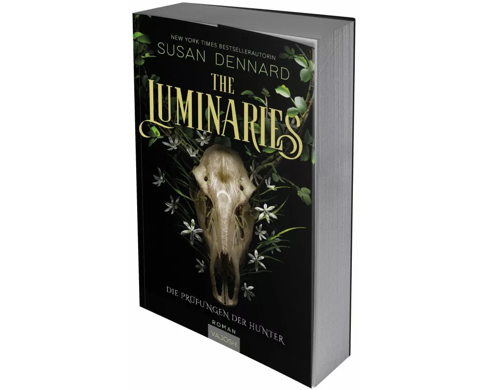 The Luminaries (Luminaries Band 1)