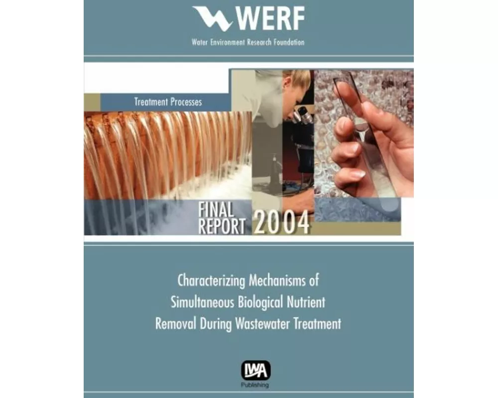 Characterizing Mechanisms of Simultaneous Biological Nutrient Removal During Wastewater Treatment