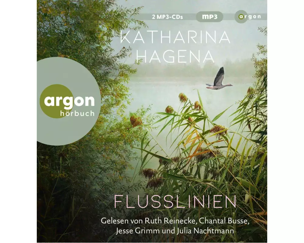 Flusslinien