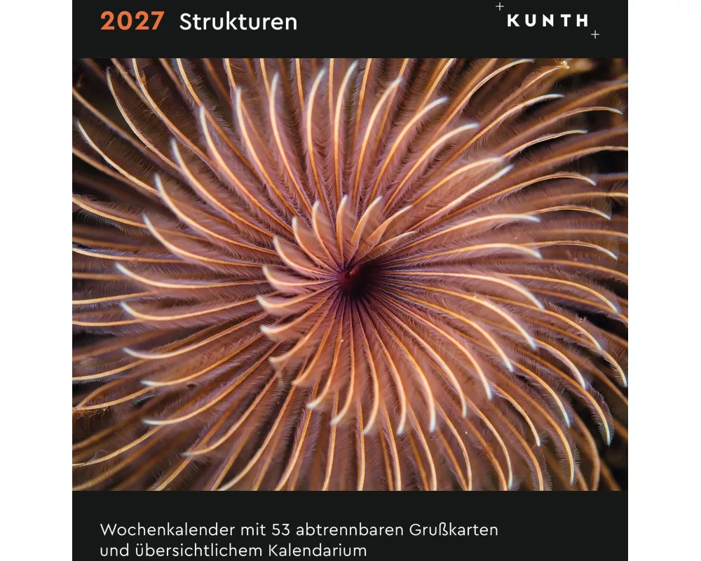 Strukturen - KUNTH Postkartenkalender 2027
