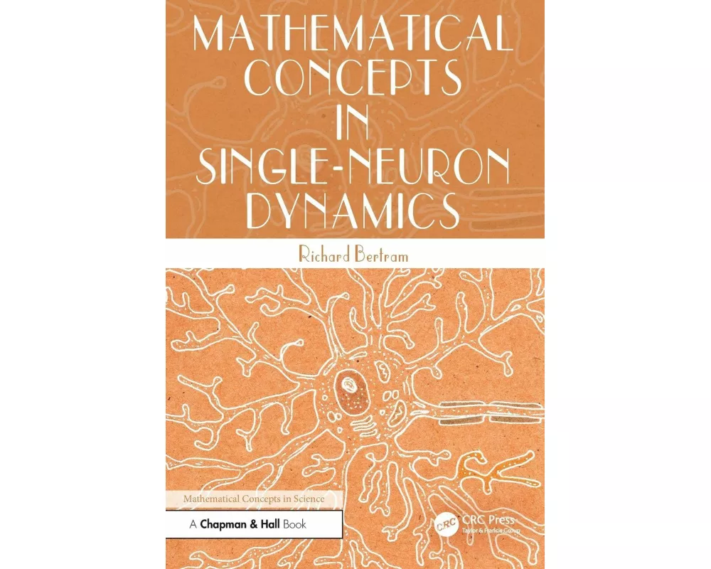 Mathematical Concepts in Single-Neuron Dynamics