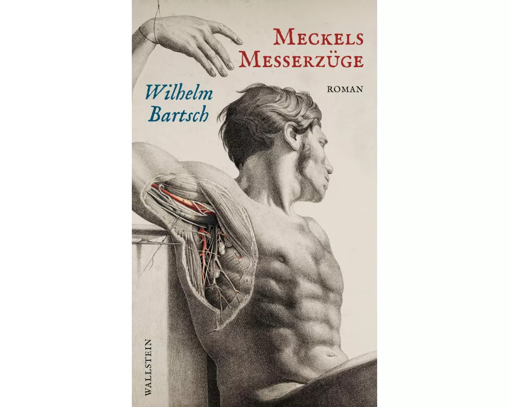 Meckels Messerzüge