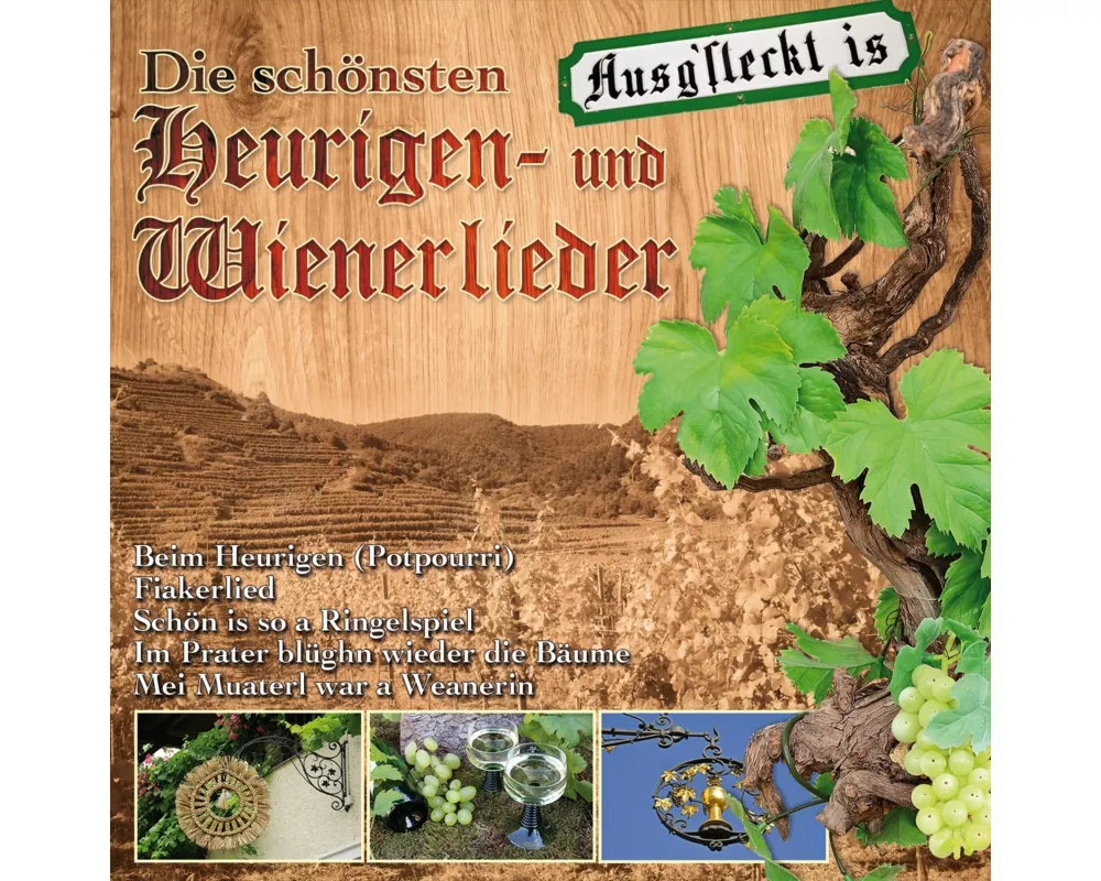 Die schönsten Heurigen-und Wi