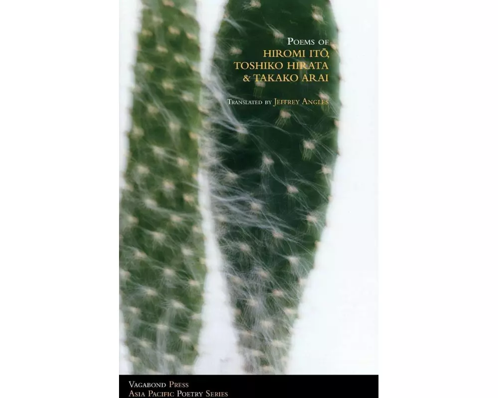 Poems of Hiromi Ito, Toshiko Hirata & Takako Arai