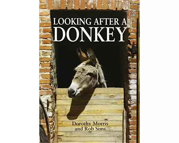 Looking After a Donkey