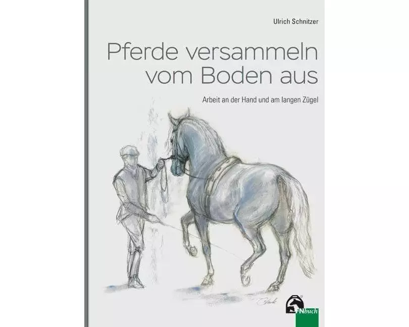 Pferde versammeln vom Boden aus
