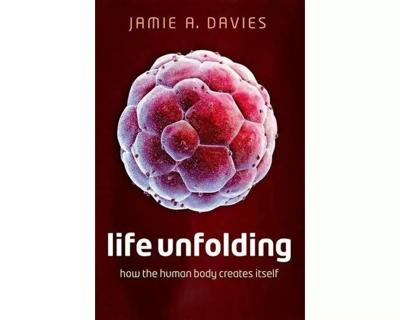 Life Unfolding