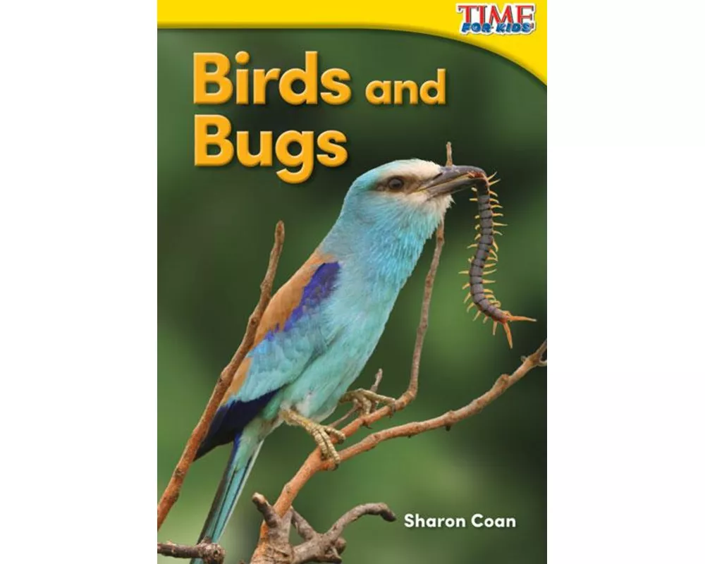Birds and Bugs
