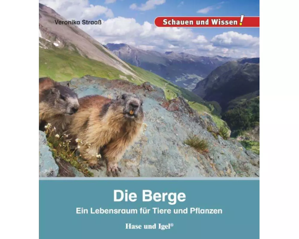 Die Berge