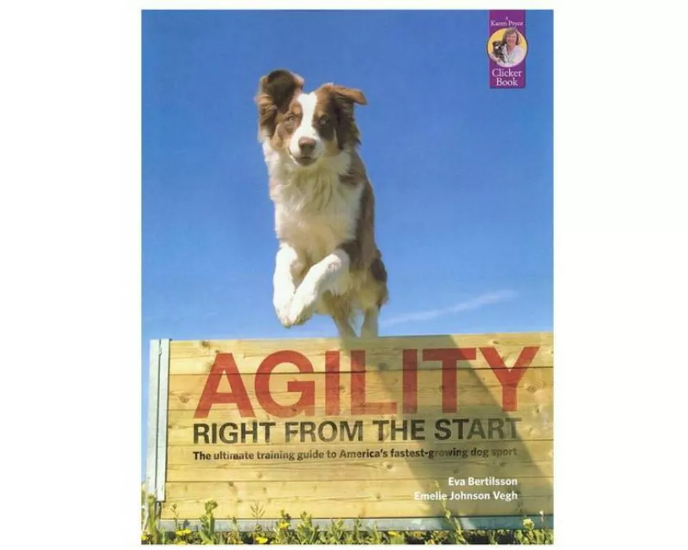Agility Right from the Start
