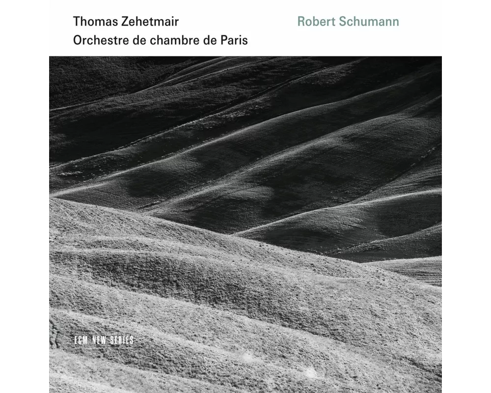 Schumann: Violinkonzert,Sinfonie 2,Phantasie