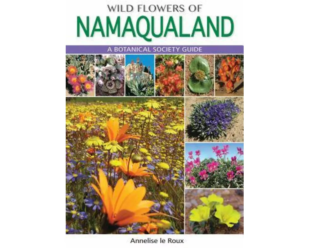 Wild Flowers of Namaqualand