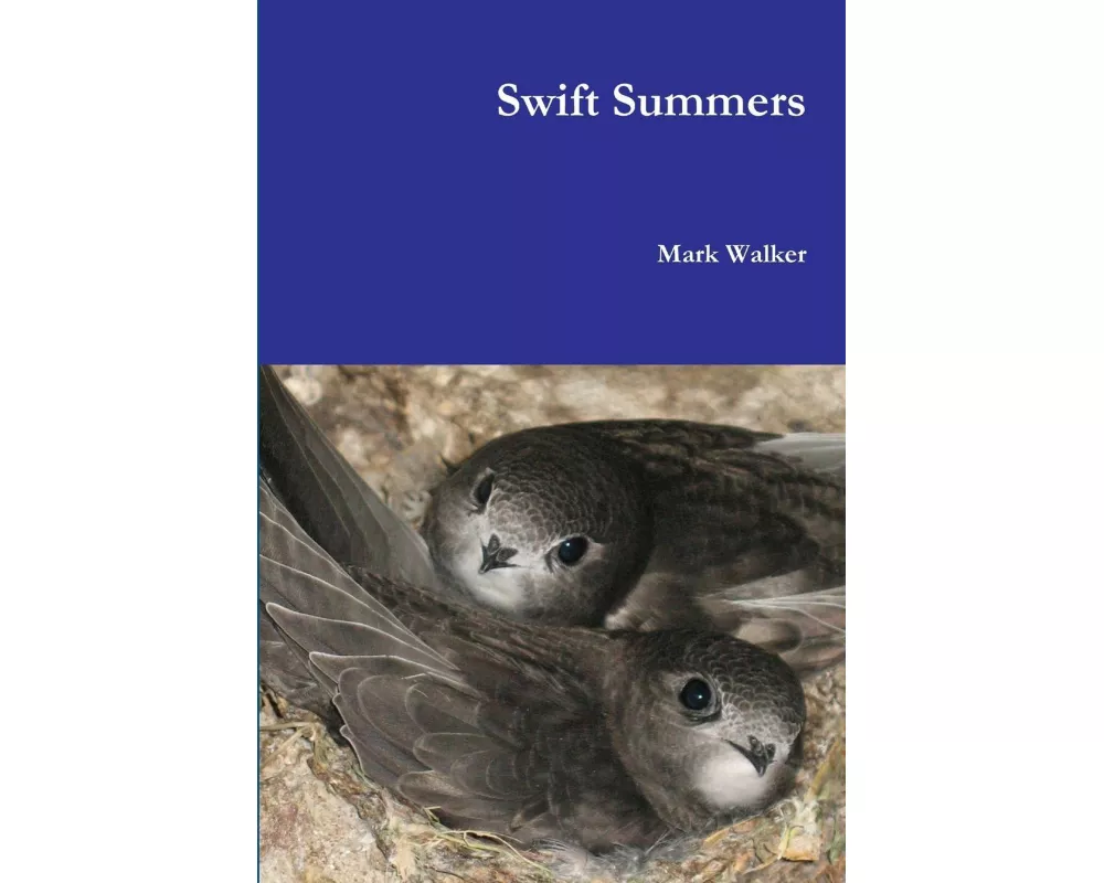 Swift Summers