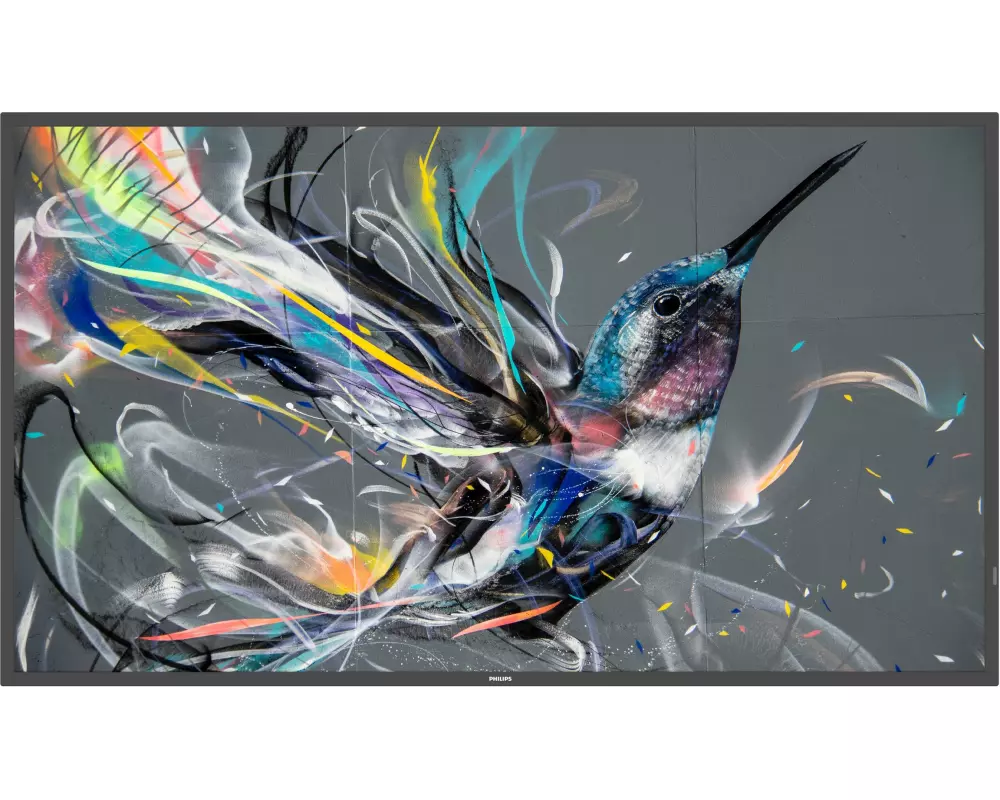 Philips Public Display Q-Line 50BDL3511Q/00 50 "