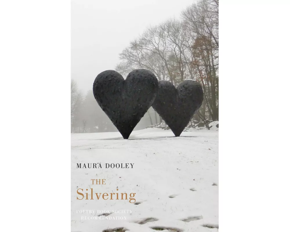 The Silvering