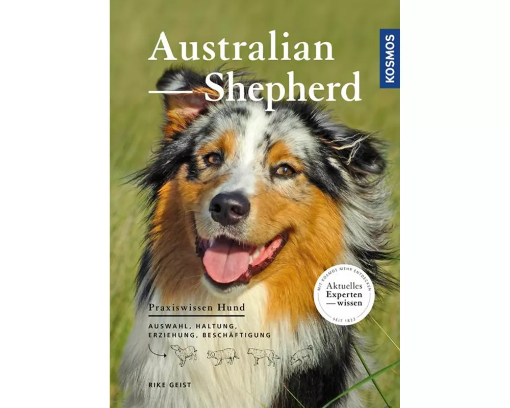 Australian Shepherd