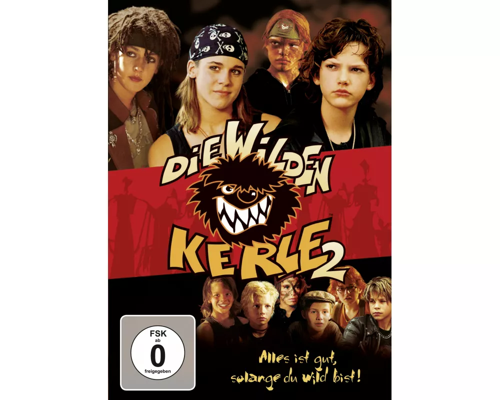 Die wilden Kerle 2