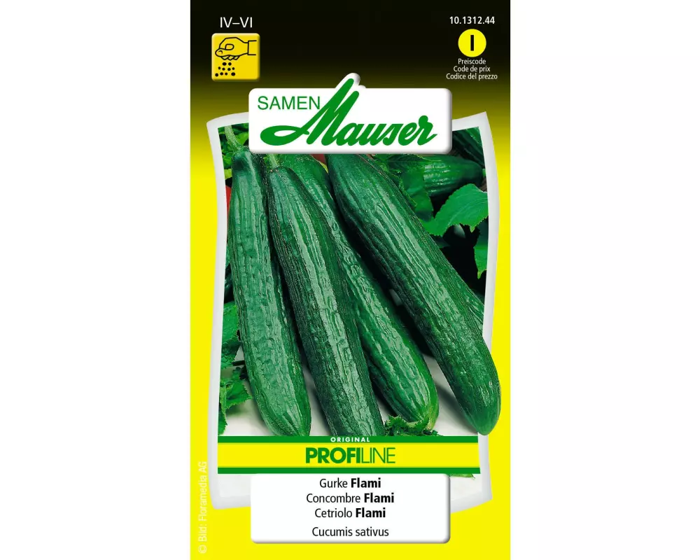 Samen Mauser Samen Profiline Gurke Flami