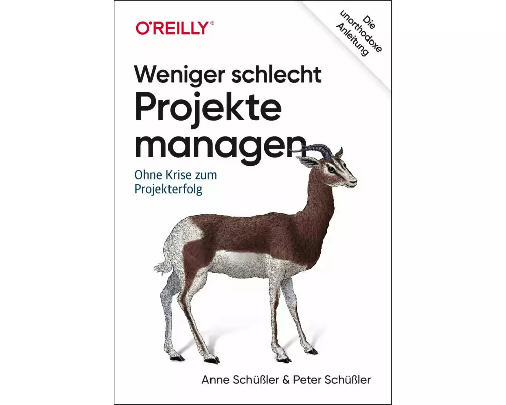 Weniger schlecht Projekte managen