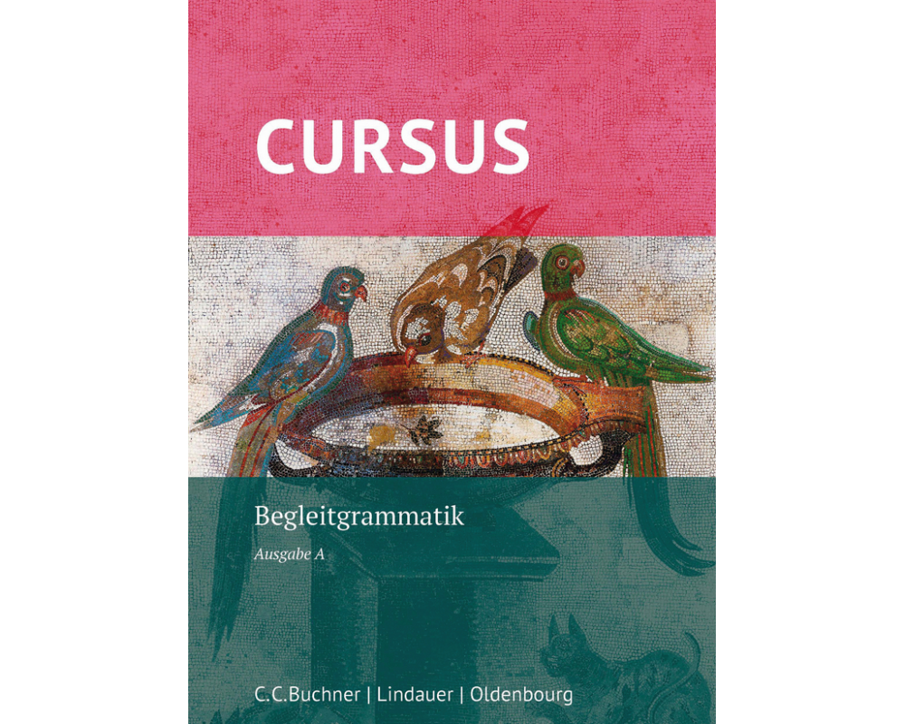 Cursus A Neu. Begleitgrammatik