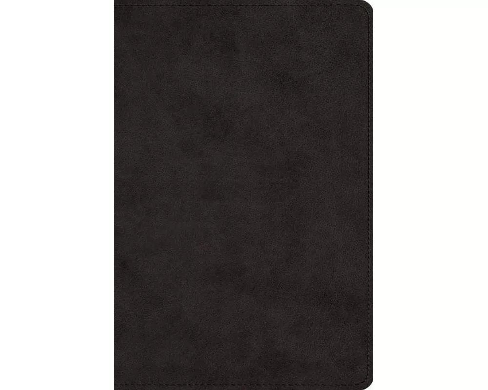 ESV Large Print Bible