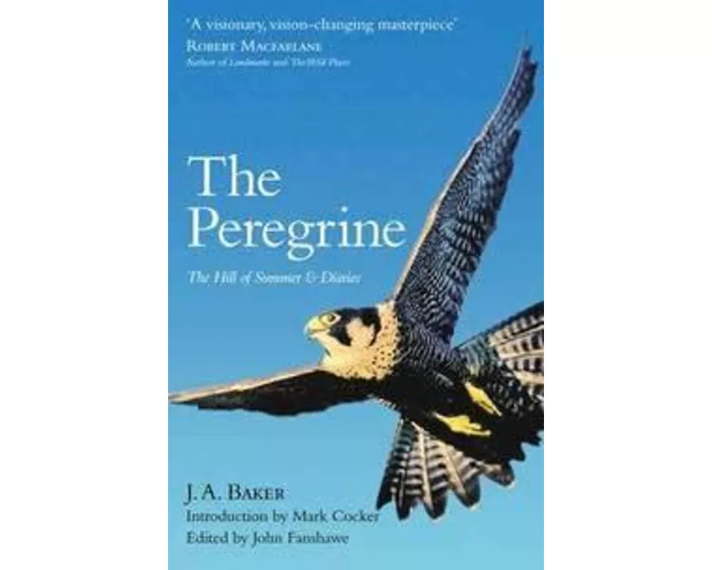 The Peregrine