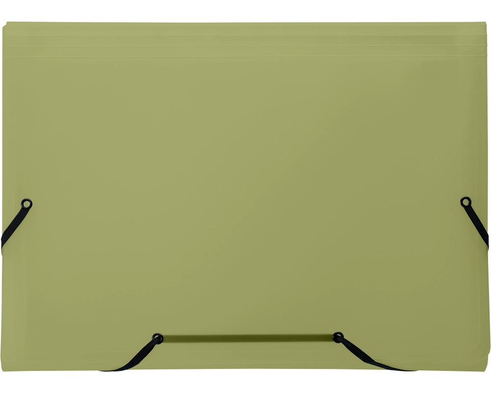 KOLMA Fächermappe Easy A4 11.017.21 olivgrün 13 Taschen