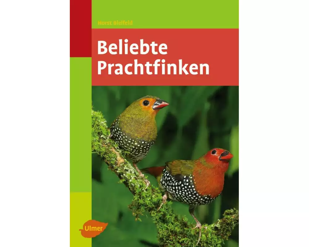 Beliebte Prachtfinken
