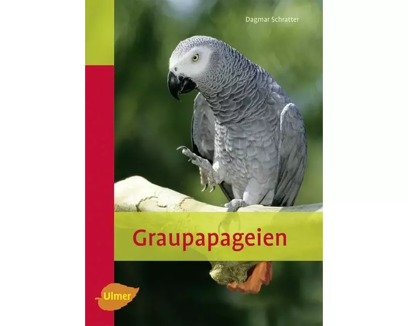 Graupapageien
