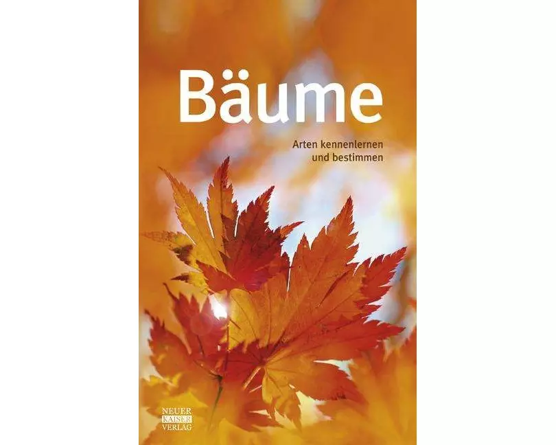 Bäume