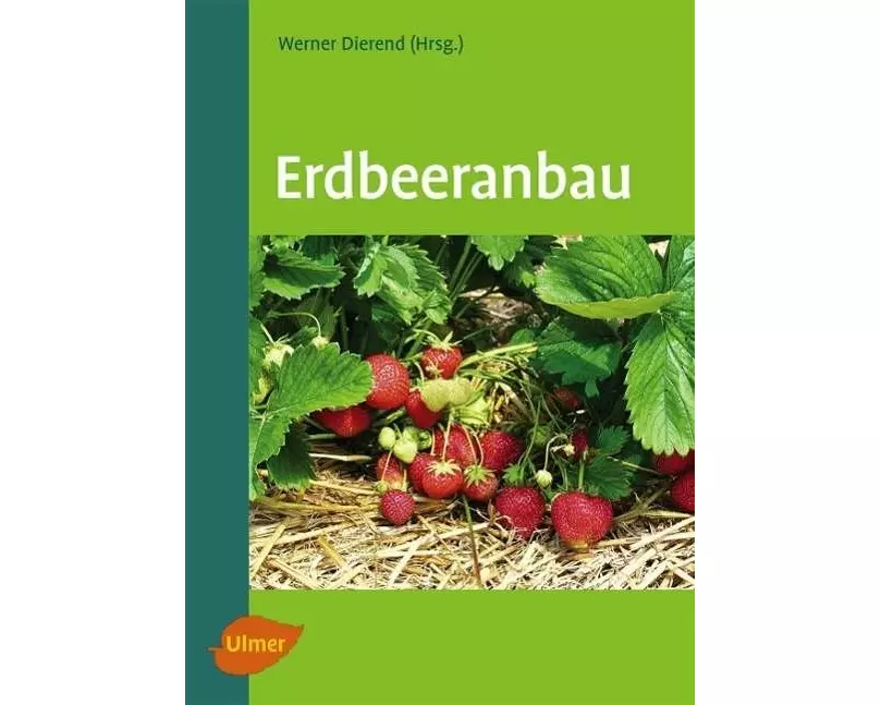 Erdbeeranbau