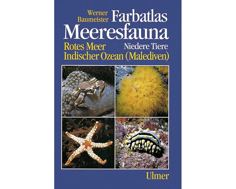Farbatlas Meeresfauna