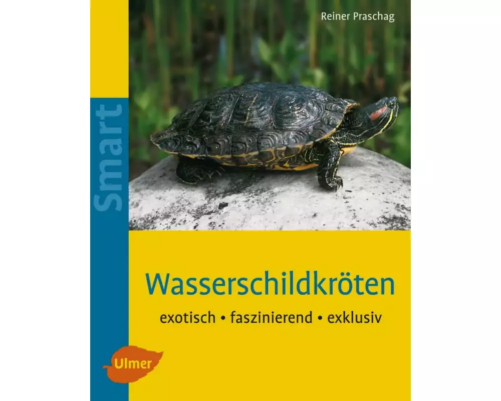 Wasserschildkröten