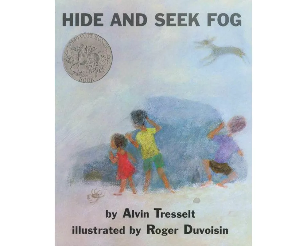 Hide and Seek Fog