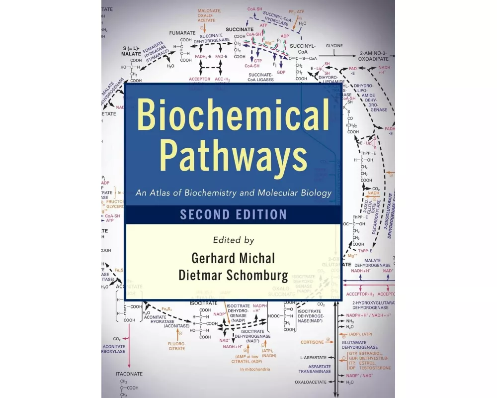 Biochemical Pathways