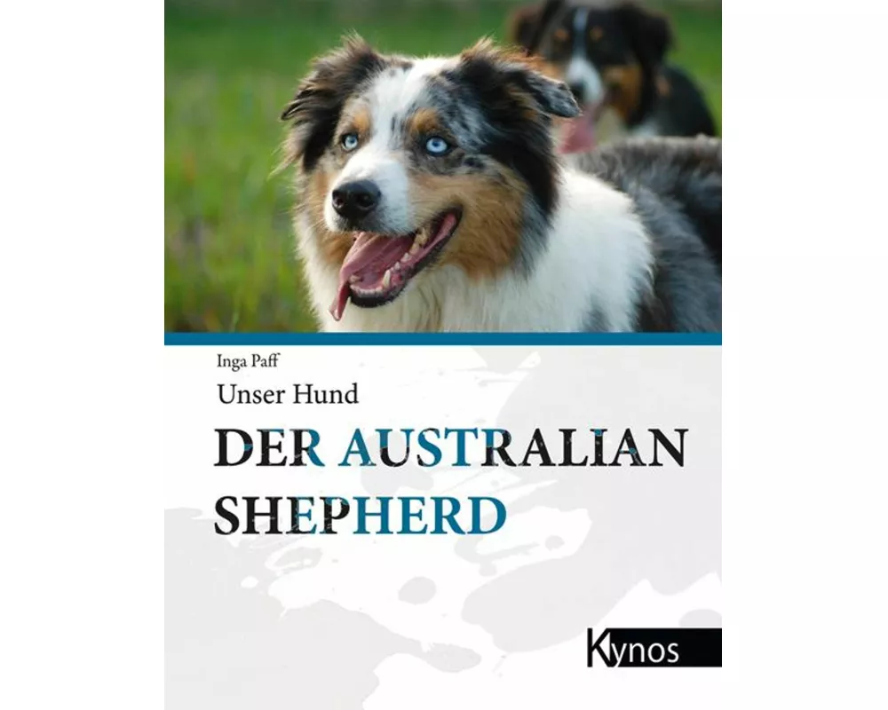 Der Australian Shepherd