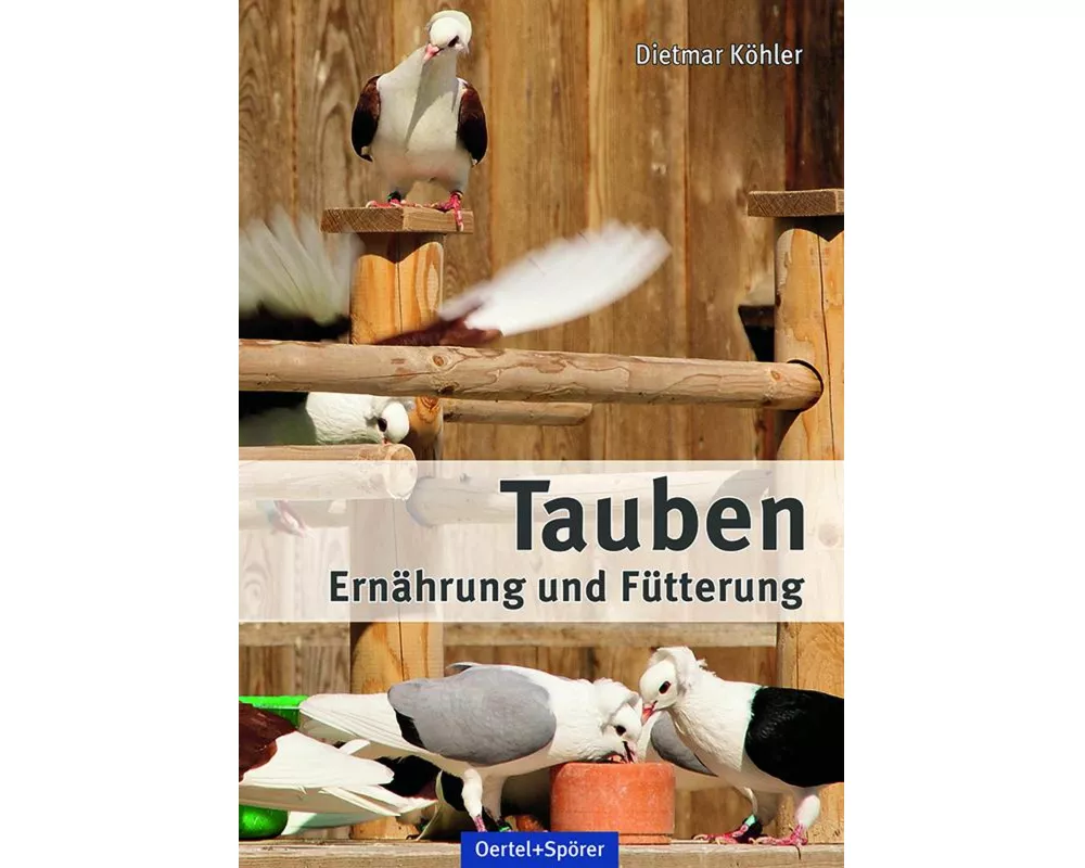Tauben - Ernährung und Fütterung