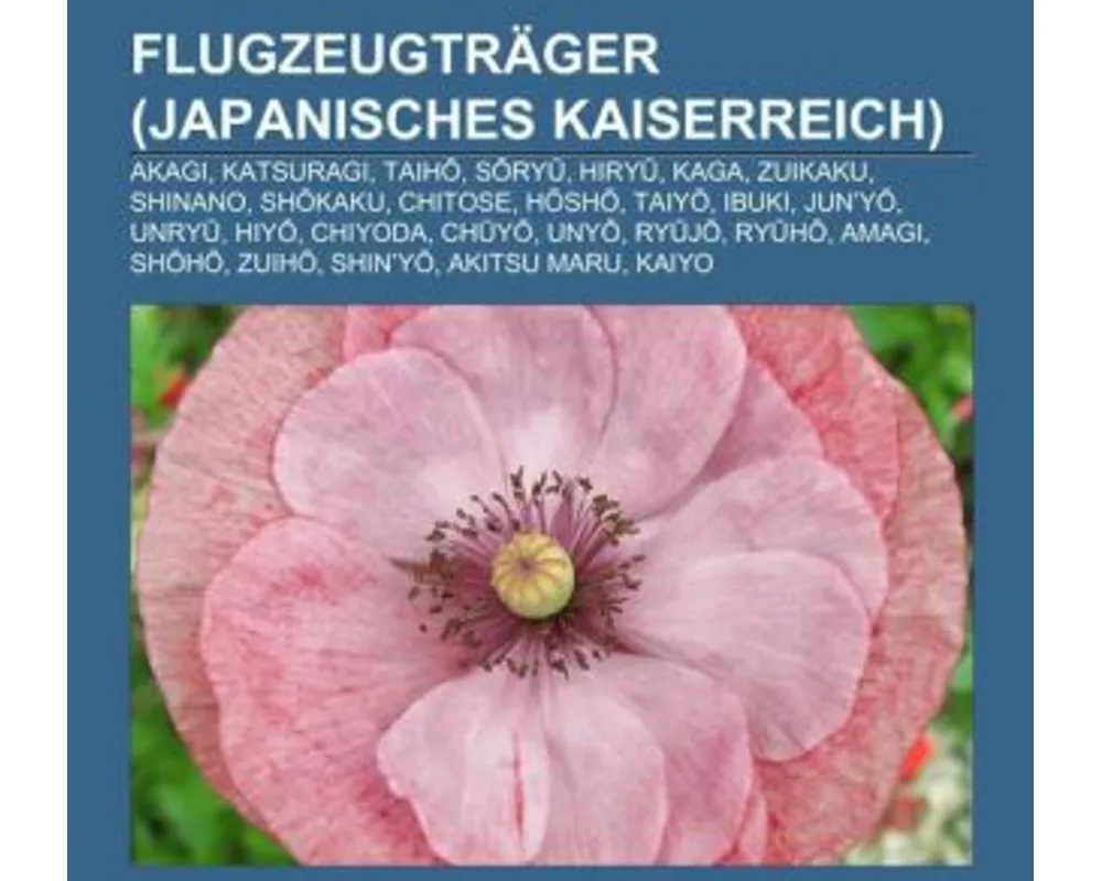 Flugzeugträger (Japanisches Kaiserreich)