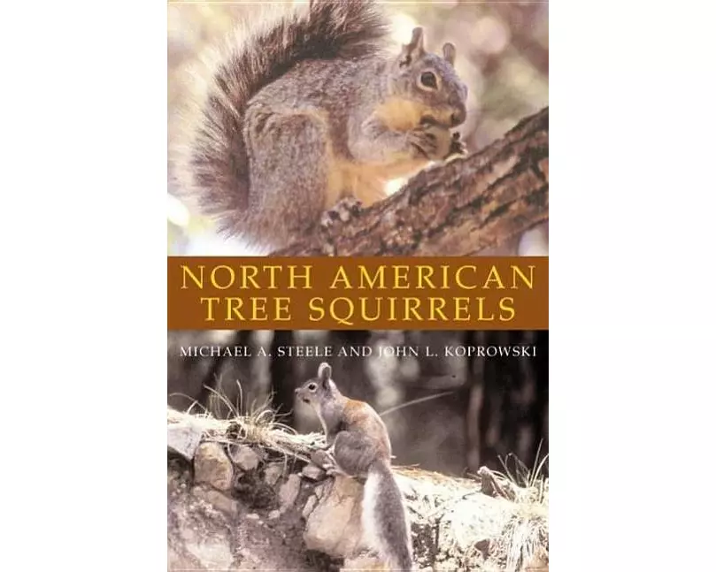 North American Tree Squirrels