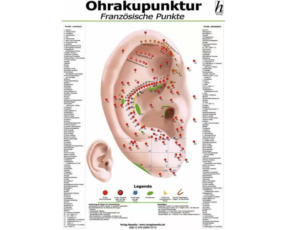 Ohrakupunktur Mini-Poster - französische Punkte DIN A4
