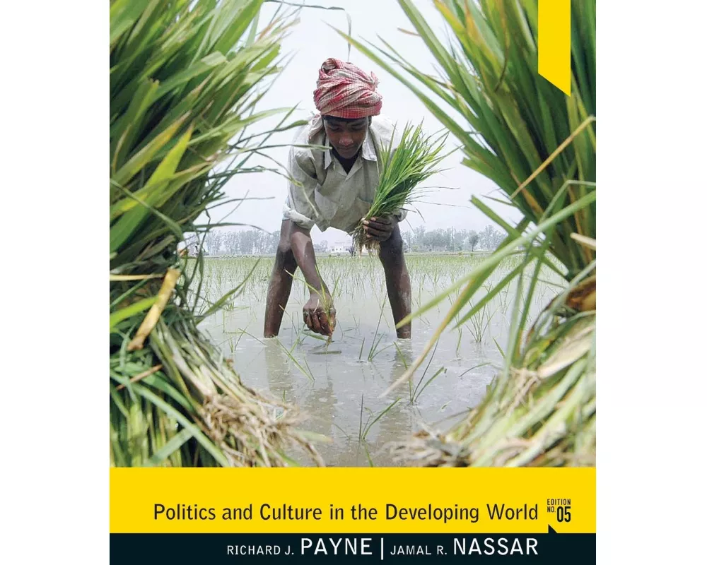 Politics and Culture in the Developing World