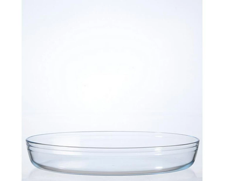International Cookware Auflaufform 39 x 27 cm Oval, Transparent
