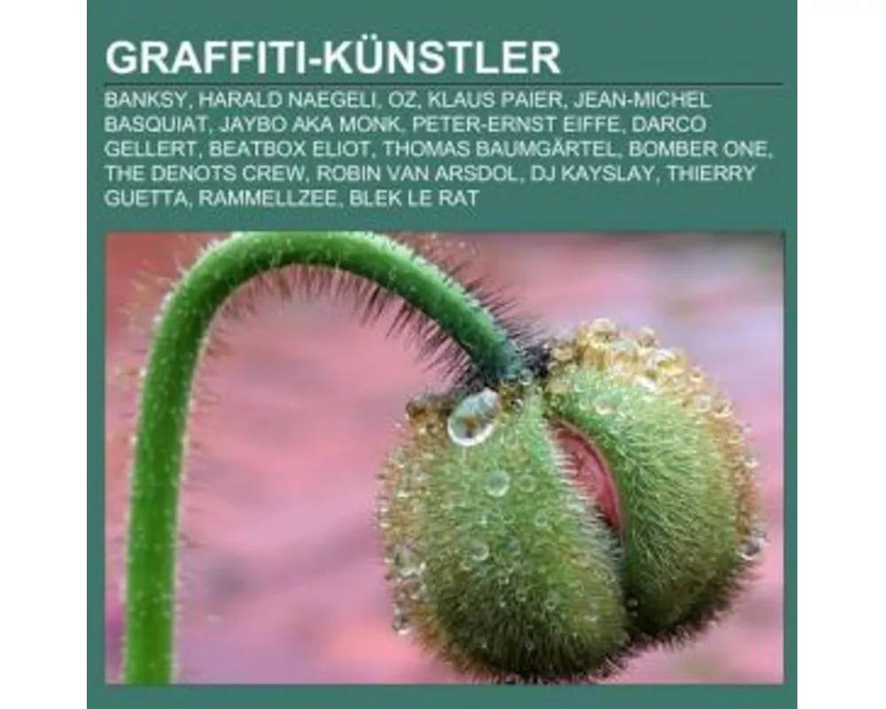 Graffiti-Künstler